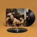 Interpol Our Love To Admire Doppel Vinyl LP [Neu & Ovp ]