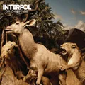 Interpol Our Love To Admire Double LP Vinyl NEW