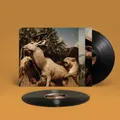 Interpol Our Love to Admire (Vinyl) 12" Album