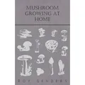 Mushroom Growing at Home