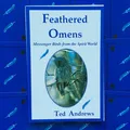 Feathered Omens MESSENGER Birds SPIRIT World Orakel-Karten & Buch-Set