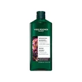 Yves Rocher Reparierendes Shampoo – Für geschädigtes und brüchiges Haar – 79x stärkeres Haar – Ohne Sulfate und Silikone – Mit Cynara und pflanzlichem Keratin – 300 ml