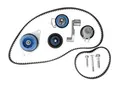 SKF Wasserpumpe + Zahnriemensatz vkmc011212 für VW (SVW)
