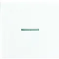 Jung WIPPE F. SCHALTER/TASTER / JUNG A590KO5WW