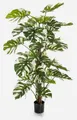 Künstliche Zimmerpflanze Kunstpflanze Philodendron Monstera Deliciosa Variegata MEBSUTA, grü Philodendron (Philodendron monstera deliciosa variegata), artplants, Höhe 160.0 cm