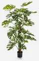 artplants Kunst Philodendron Monstera Deliciosa MEBSUTA, grün-weiß, 160cm