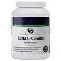 L-Carnitin 100 St