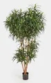 Kunstbaum Künstliche Dracaena Reflexa Anita, 1740 Blätter, grün, 180cm Dracaena (Dracaena reflexa anita), artplants, Höhe 180.0 cm