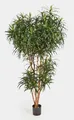 artplants Künstliche Dracaena Reflexa Anita, 1740 Blätter, grün, 180cm