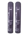 Super Brillant Style Strong Spray 2x 500ml Haarspray - SB Style