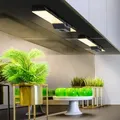 OSRAM LED Unterbauleuchte UNDERCABINET SOCKET FRAMELESS dimmbar schwarz