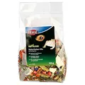 Trixie 76265 Naturfutter-Mix für Bartagamen, 100 g