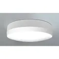 RP-Technik Sicherheitsleuchte QBW029ML