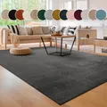 Teppich PACO HOME "Cadiz 630", grau (anthrazit), B:140cm H:14mm L:200cm
