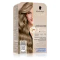 L'Oréal Paris Schwarzkopf Creme Supreme Hair Color Shade 816 Cool Ash Blonde (Blond) (64423747)