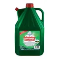 Robbyrob Grünbelagsentferner gebrauchsfertig 5L