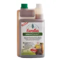 Ewalia Immunvitalsaft