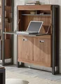 Sekretär Schreibtisch Schreib Kommode Eiche grau Industrial Design 90x127 Auburn
