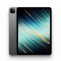 Apple iPad Pro 12.9 2022 WiFi+Cellular 6th Gen 256GB Space Grau Gut