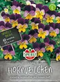 Hornveilchen, Johnny Jump up
