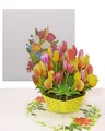 Pop Up Karte Bunte Tulpen Blumenkarte als Geburtstagskarte & Einladungskarte