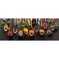 EUROART Glasbild 30 x 80 cm Herbs and spices Glas Bunt