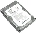 80GB SATA Seagate ST3808110AS FW 3.AAH 2MB PUFFER