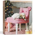 BOXILAND® Hunde Adventskalender 2025 [MIT 24 LECKERLIES] – Weihnachtskalender Geschenk – Geschenkidee Hunde (Hergestellt in DE)