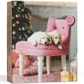 Adventskalender 2025 Hunde Leckerlies Snacks für den Hund Haustier Tiernahrung