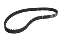 Zahnriemen CONTINENTAL CT817