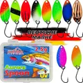 Paradox Fishing Forellen Spoon Set Aurora I 10 Spoons 2,5g mit Spoon Box und 5 Snaps I Forellenköder Set zum Forellen Angeln Forellenteig - Spoons Forelle