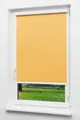 Lysel Outlet - Kassettenrollo abdunkelnd Aprikose, (B x H) 40cm x 175cm in orange/aprikose