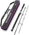 Hearty Rise 1,98m 180-400g Skywalker Cast - Baitcaster Reiserute