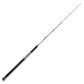 Hearty Rise 1,98m 180-400g Skywalker Cast - Baitcaster Reiserute, Angelrute