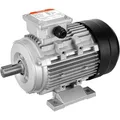 1,5 kW Wechselstrommotor 3000 U/min, AC 230/400 V, 9,5/3,5 A, 90 L, B3-Rahmen...