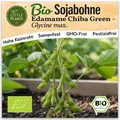 Sojabohne Samen (BIO) - 10 Samen Gemüsesamen Sojabohnesamen Edamame Chiba Green