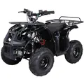 Elektro-Kinderquad S-8 Farmer, Midi-Quad mit 1000 Watt, Scheiben-/Trommelbremsen, bis 20 km/h, ab 8 (Schwarz)