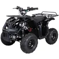 Actionbikes Motors Kinder Quad Elektro ATV S-8 Farmer | 𝟒𝟖 Volt 𝟭𝟬𝟬𝟬 Watt Motor bis 𝟐𝟬 km/h - Kinderquad - Pocket Quad - Scheibenbremsen - Miniquad - Für Kinder ab 8 Jahren (Schwarz)