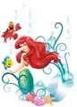 Komar Decosticker Arielle 50 x 70 cm