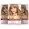 L'Oréal Paris Permanente Haarfarbe, 100% Grauhaarabdeckung, Haarfärbeset mit Coloration, Shampoo und 3-Fach Pflege Creme Farbe, Excellence Creme, 7.3 Haselnussblond, 3 x 268 g