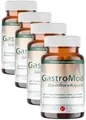 GastroMod Probiotika 14 Bakterienstämme + Inulin zur Darmkur - Forum Vita®