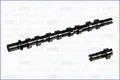 AJUSA Nockenwelle 93149400 für SCÉNIC MEGANE CLIO KANGOO RENAULT 1 JA0 2 BM0 JM0