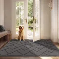 Biscpro Fußmatte Grau 80x120cm Innen und Außen, Waschbar Fussmatte, Wasserdicht Türmatte, Rutschfester Schmutzfänger Teppich für Eingang, Haustür, Patio, Flur, Garten