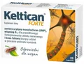 KELTICAN forte DE 1x Box/ 20 Kapseln Nervenregeneration Nervenbausteinen