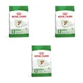 Royal Canin Mini Ageing 12 + | 3er Pack | 3 x 800 g | Alleinfuttermittel für kleine Hunde bis 10 kg | Ab dem 12. Lebensjahr | Kann die Nierengesundheit unterstützen