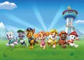 Paw Patrol Kinder Schlafzimmer Tapete 252 CM X 182 (251cm x 183cm) Toddler