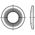 Alstertaler Schrauben & Präzisionsteile Sperrkantscheiben 12mm 18.3mm Federstahl verzinkt 100 St. 159416
