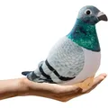Nasza Ksiegarnia Plüschgraue Ringeltaube, 20 cm (8 cm) (53546664)