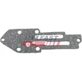 FAST Dichtring, Ölkühler ft49916 für Ford