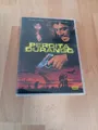 Perdita Durango  -DVD - Rosie Perez, Javier Bardem, Harley Cross - FSK 18